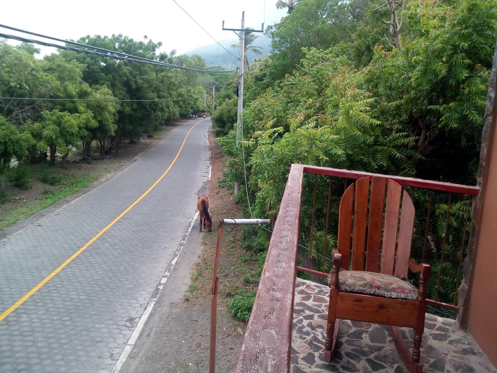 Beach Cabin Ometepe Altagracia Стая снимка