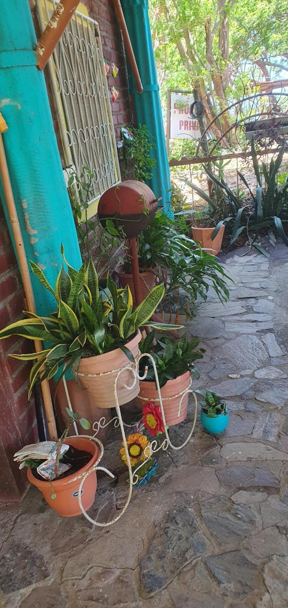 Beach Cabin Ometepe Altagracia Стая снимка