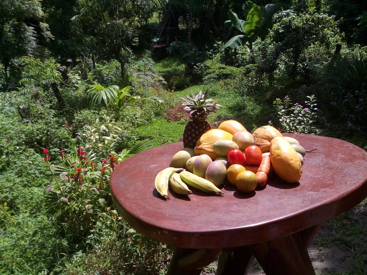 Beach Cabin Ometepe Altagracia Екстериор снимка